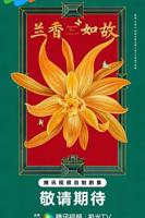 免费观看《兰香如故》全集电视剧